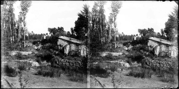 Una masia voltada de boscos i vegetació photo