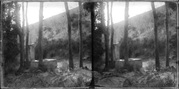 Una font al bosc de Sant Genís dels Agudells