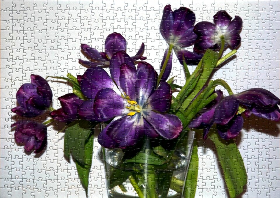 Nature jigsaw puzzle puzzle