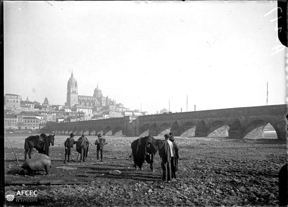 Un porc, cavalls i homes al costat del pont romà sobre el riu Tormes i al fons la ciutat de Salamanca