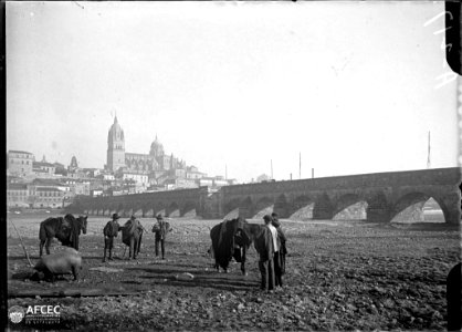 Un porc, cavalls i homes al costat del pont romà sobre el riu Tormes i al fons la ciutat de Salamanca