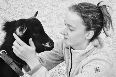 Kiss hug domestic animal