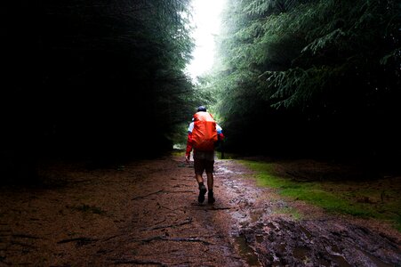 Wet road pathway