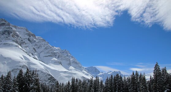 Nature winter panoramic image