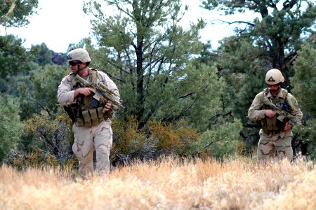 US Navy 061115-N-0096V-039 Explosive Ordnance Disposalman 1st Class Tim Idom and Explosive Ordnance Disposalman 1st Class Ray Kassow conduct reconnaissance operations for hidden weapons photo