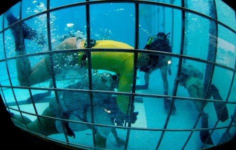 US Navy 061106-N-9769P-562 Naval Diving and Salvage Training Center instructor provides a problem-solving scenario to a dive student during a problem solving exercise at the pool confidence-training portion of the student's cou