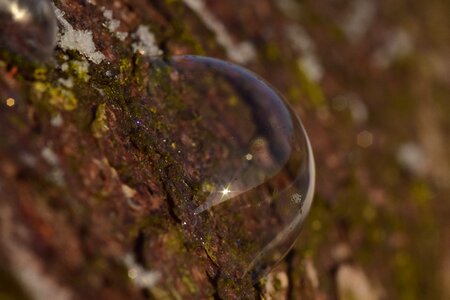 Soap bubble oblique dome photo