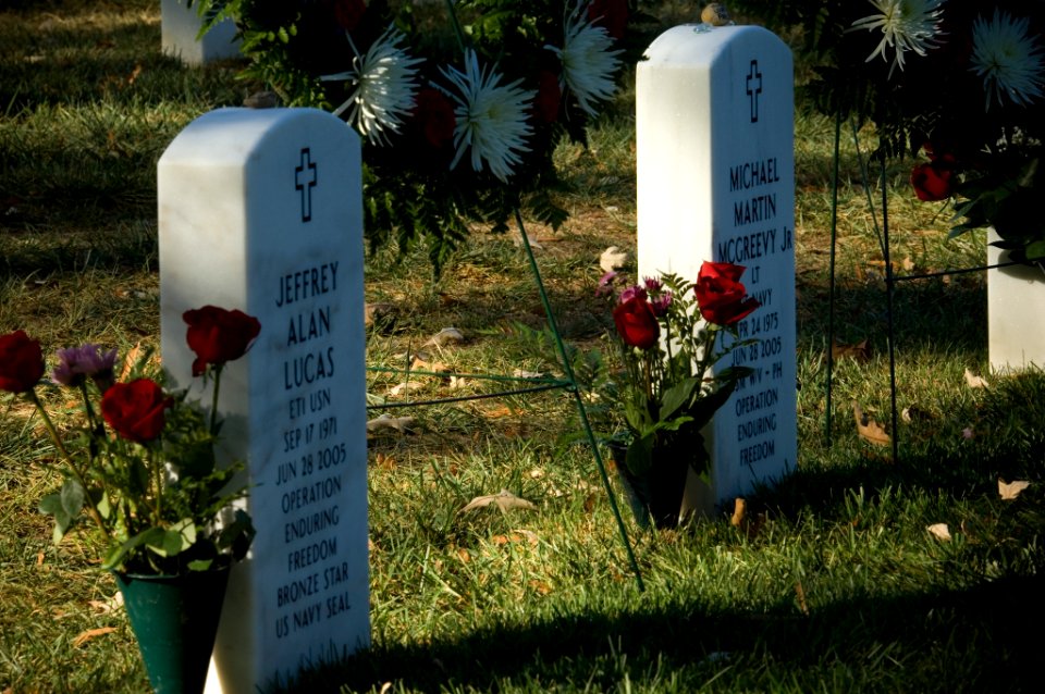 US Navy 071021-N-5319A-039 Flowers presented by the family Navy SEAL Lt. Michael Murphy lie beside the graves of Electronics Technician 1st Class Jeffrey Lucas and Navy Lt. Michael McGreevy at Arlington National Cemetery