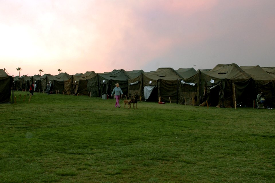 US Navy 071022-N-4973M-006 An evacuee and Navy family member walks her two dogs through the 500-person tent camp on Turner Field at Naval Amphibious Base Coronado