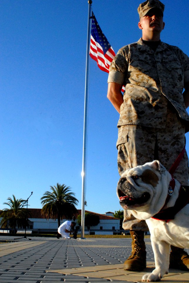 US Navy 090702-N-3289E-100 Marine Corporal Dustin Shanle stands in front of the Naval Station Rota Spain, flagpole with company mascot Monster during the annual flag raising ceremony