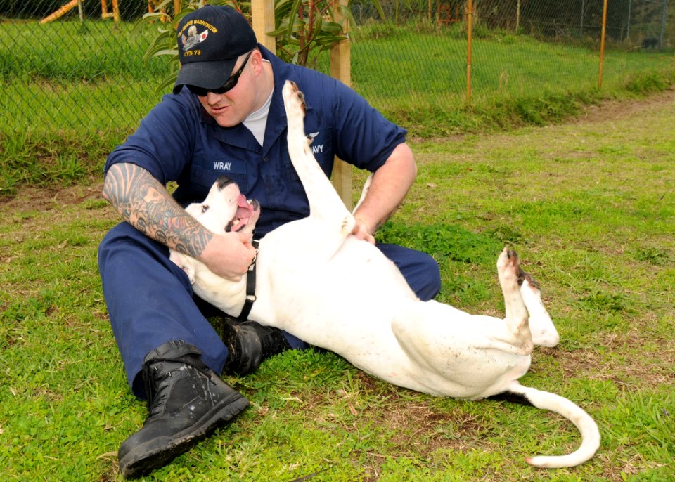 US Navy 090704-N-1062H-073 Air Traffic Controller 1st Class Luke Wray plays with Cruiser, a dog at the Dogs Refuge Home, during a community service project