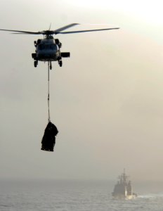 US Navy 090707-N-9132C-075 A MH-60S Sea Hawk assigned to the Black Jacks from Helicopter Sea Combat Squadron (HSC) 21 transports cargo from USNS Rainier