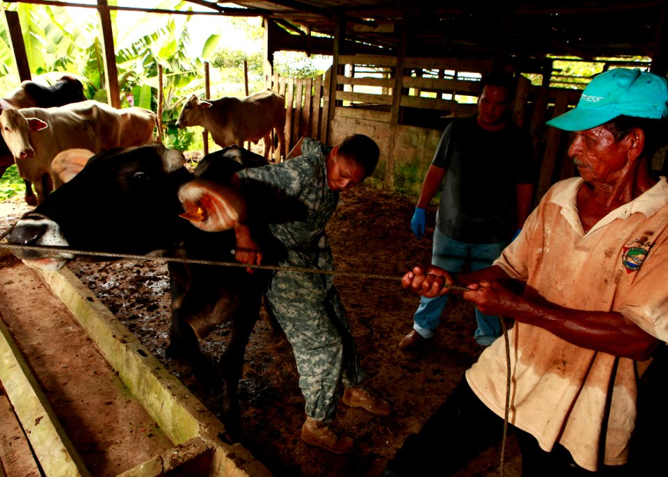 US Navy 100921-M-6740B-514 A Nicaraguan farmer holds a rope for U.S. Army Pfc. Angela M. McCormick, a veterinary assistant from Sacramento, Calif