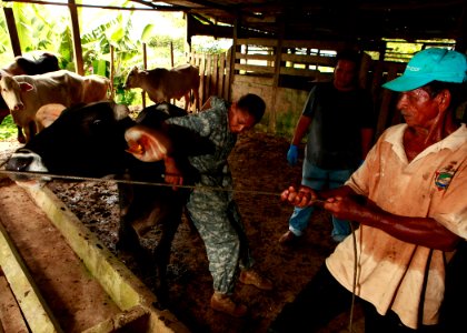 US Navy 100921-M-6740B-514 A Nicaraguan farmer holds a rope for U.S. Army Pfc. Angela M. McCormick, a veterinary assistant from Sacramento, Calif