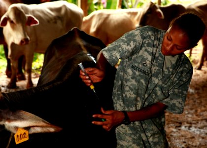 US Navy 100921-M-6740B-516 U.S. Army Pfc. Angela M. McCormick, a veterinary assistant from Sacramento, Calif., embarked aboard the amphibious assau