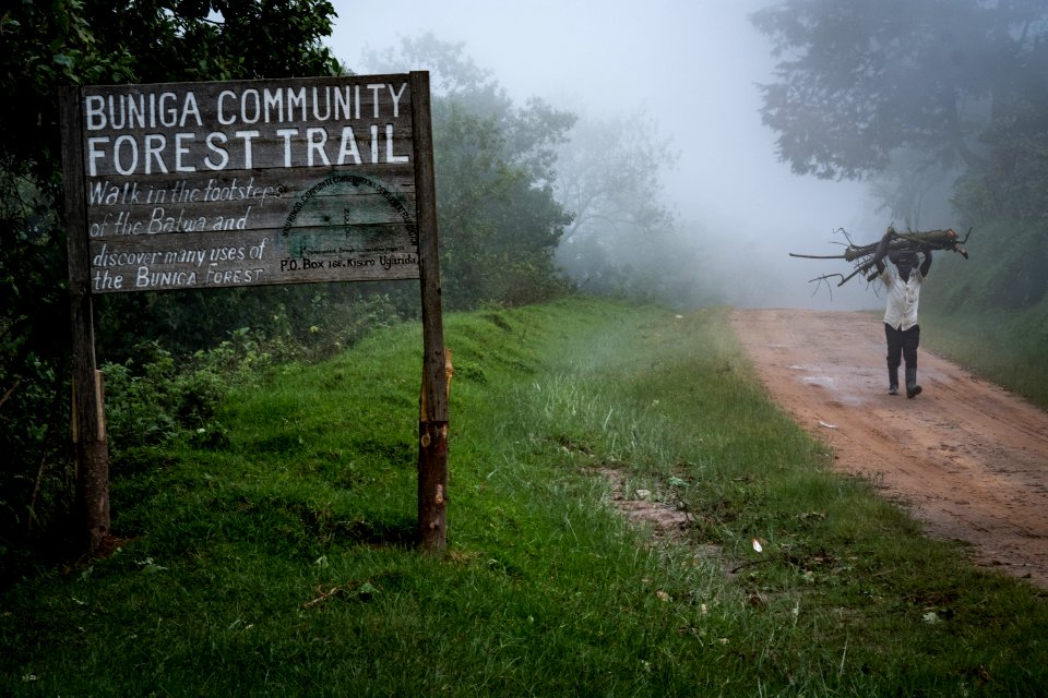 USAID Measuring Impact Conservation Enterprise Retrospective (Uganda; International Gorilla Conservation Program) (38483701840)