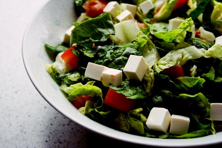 Vegetable food organic