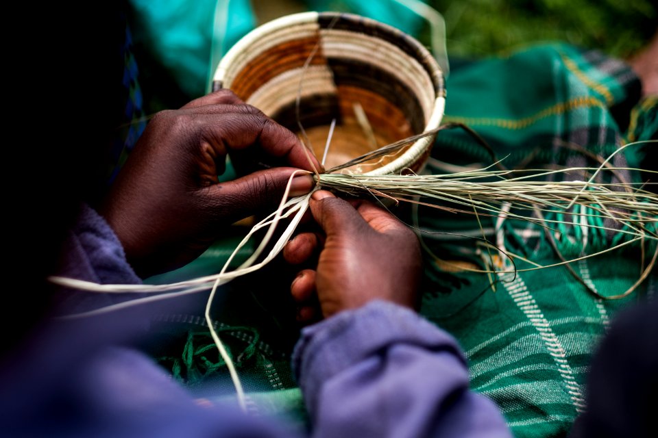 USAID Measuring Impact Conservation Enterprise Retrospective (Uganda; International Gorilla Conservation Program) (26421187348)