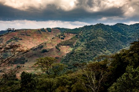USAID Measuring Impact Conservation Enterprise Retrospective (Uganda; International Gorilla Conservation Program) (26421513498)