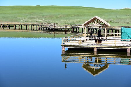 Swan lake landscape lake view