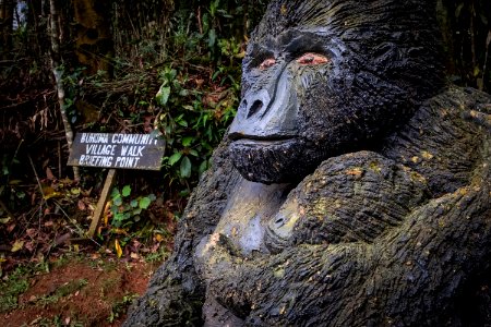 USAID Measuring Impact Conservation Enterprise Retrospective (Uganda; International Gorilla Conservation Program) (25422644817)