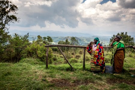 USAID Measuring Impact Conservation Enterprise Retrospective (Uganda; International Gorilla Conservation Program) (26421134858)