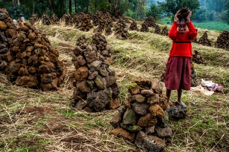 USAID Measuring Impact Conservation Enterprise Retrospective (Uganda; International Gorilla Conservation Program) (38483673800)