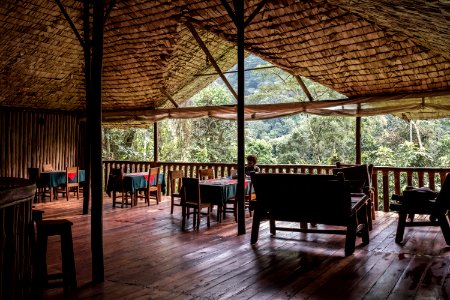 USAID Measuring Impact Conservation Enterprise Retrospective (Uganda; International Gorilla Conservation Program) (25422642687)