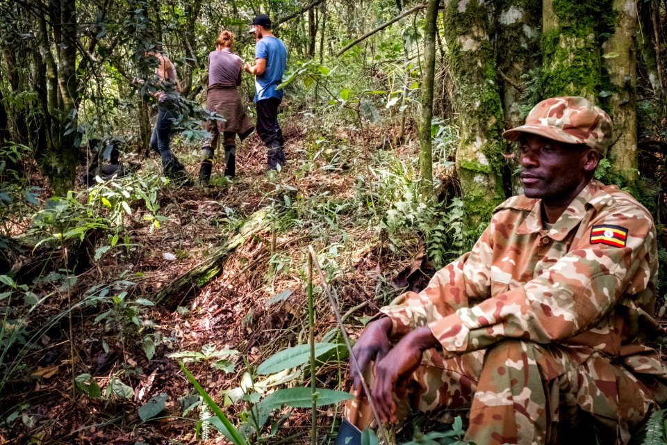 USAID Measuring Impact Conservation Enterprise Retrospective (Uganda; International Gorilla Conservation Program) (25422609497)