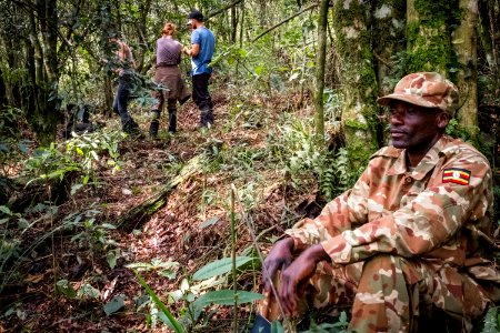 USAID Measuring Impact Conservation Enterprise Retrospective (Uganda; International Gorilla Conservation Program) (25422609497)