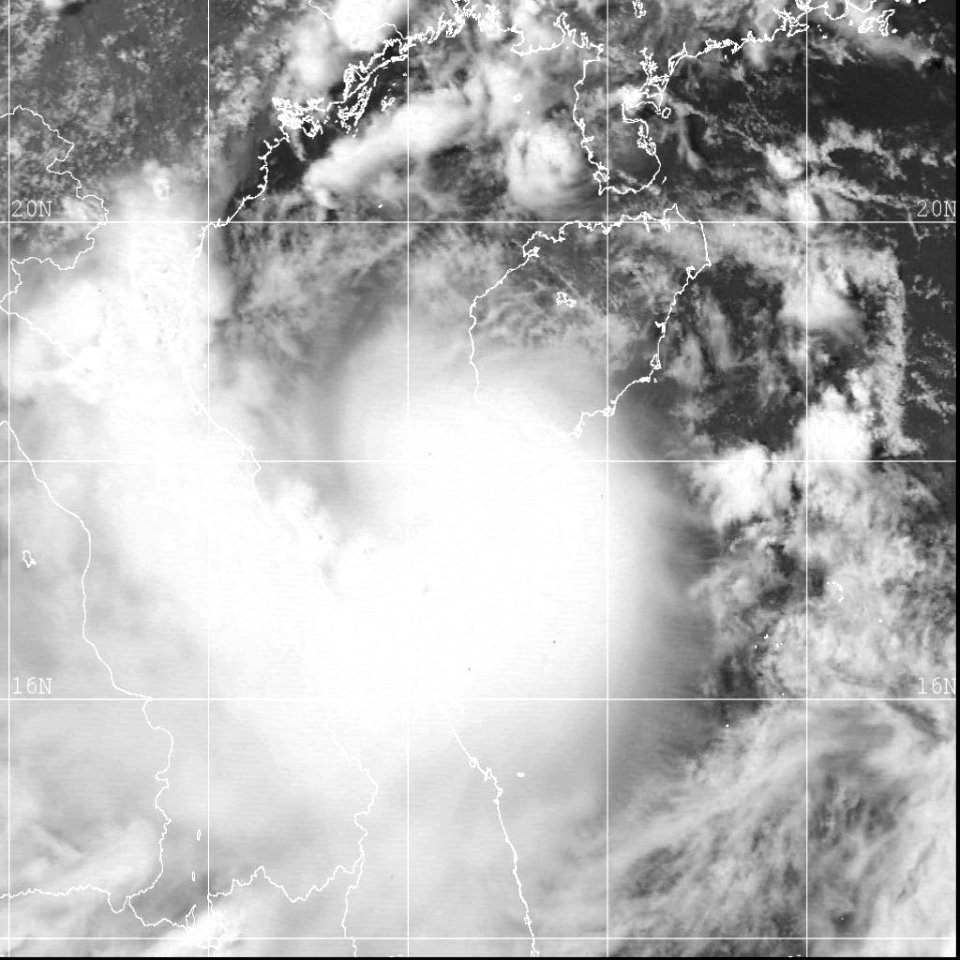 Usagi 10 aug 2001 0631Z