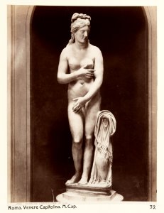 Venus - Hallwylska museet - 107545 photo