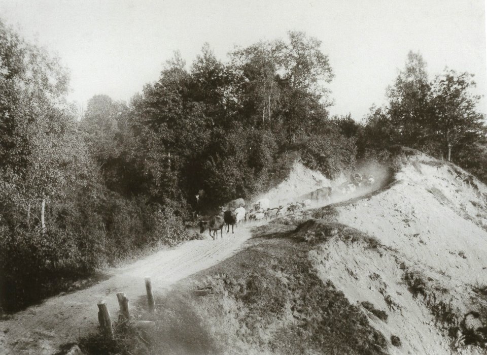 Vilnia, Puškarnia. Вільня, Пушкарня (S. Fleury, 1900) (7)