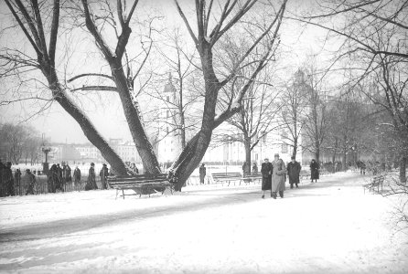 Vilnia, Katedralny. Вільня, Катэдральны (H. Poddębski, 1937)