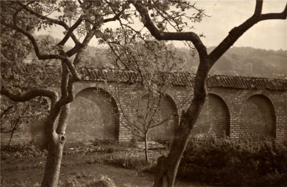 Vilnia, Rosy, Vizycki. Вільня, Росы, Візыцкі (J. Bułhak, 1919) (9)