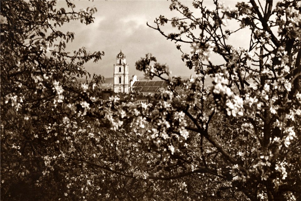 Vilnia, Subač, Śviatych Janaŭ. Вільня, Субач, Сьвятых Янаў (J. Bułhak, 1918)