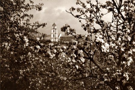 Vilnia, Subač, Śviatych Janaŭ. Вільня, Субач, Сьвятых Янаў (J. Bułhak, 1918)