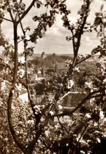 Vilnia, Subač-Zamkavaja hara. Вільня, Субач-Замкавая гара (J. Bułhak, 1919)