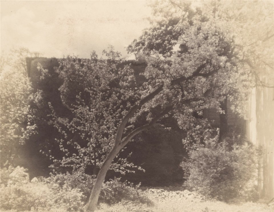 Vilnia, Rosy, Vizycki. Вільня, Росы, Візыцкі (J. Bułhak, 1919) (7)
