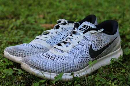 Shoe sport nike free