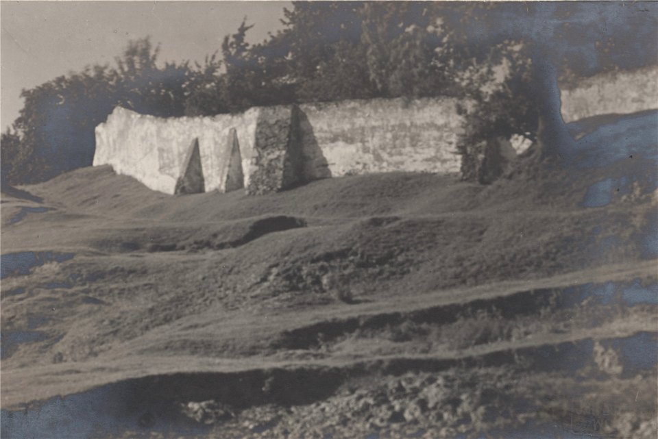 Vilnia, Rosy, Vizycki. Вільня, Росы, Візыцкі (J. Bułhak, 1919)