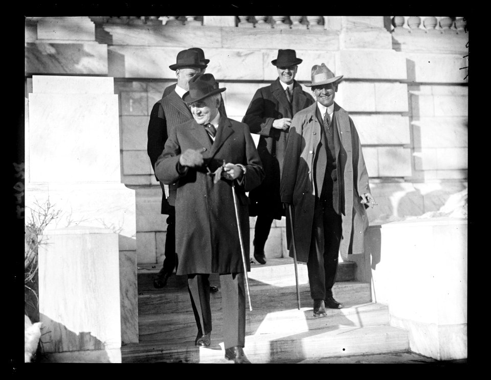 Warren Harding LCCN2016891209