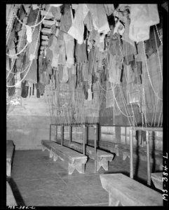 Wash and change house at mine. Colorado Fuel & Iron Corporation, Kebler ^2 Mine, Tioga, Huerfano County, Colorado. - NARA - 540384