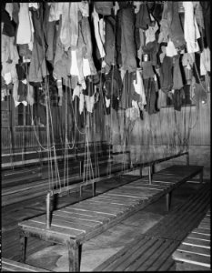 Wash and change house for miners. The St. Clair Coal Company, St. Clair Colliery, St. Clair, Schuylkill County... - NARA - 541527