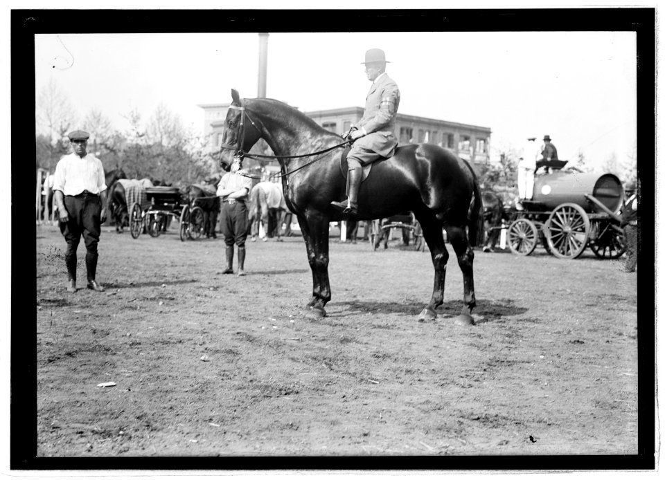 Wash. Horse Show, 1914, Ed McLean LCCN2016851093