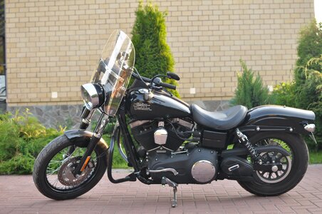 Davidson fxdb 2013