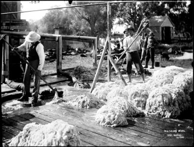 Washing wool from The Powerhouse Museum Collection