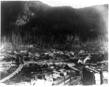 Washington - Index - panoramic view of logging town LCCN2006679221