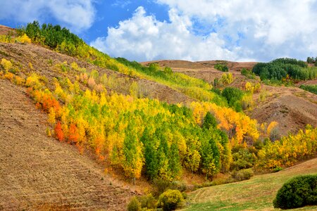 Landscapes nature sky grass