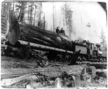 Washington logging train going down a mountain, on which are logs from a fir tree 12 feet in diameter LCCN2004665704 photo
